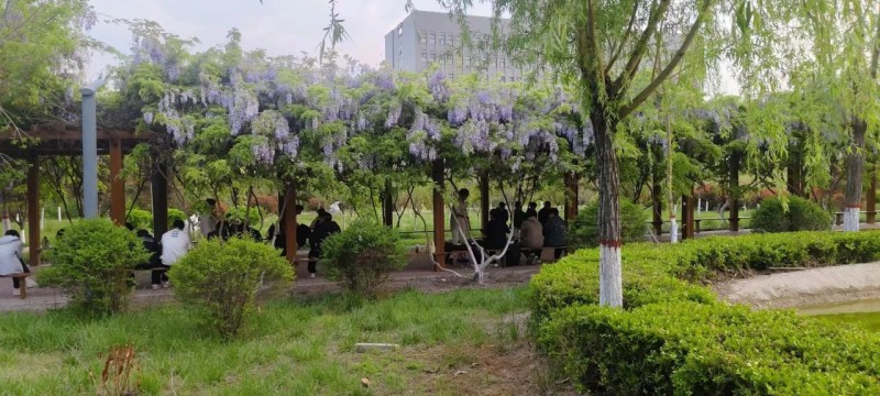微信图片_20250719152212