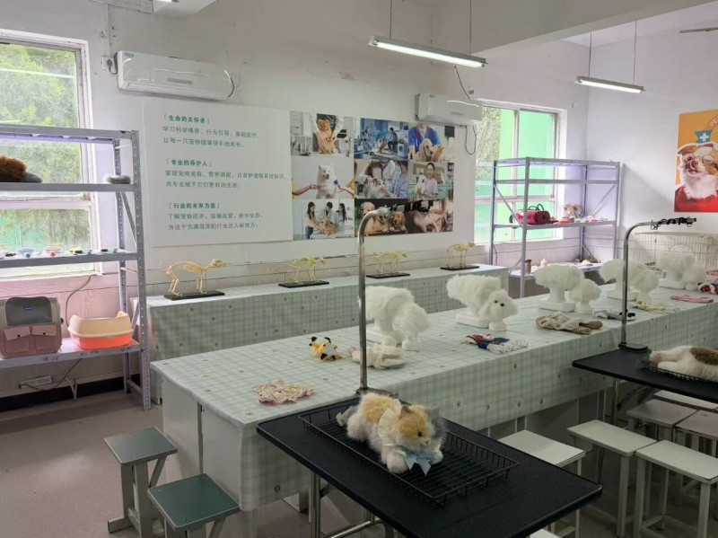 微信图片_2026-03-28_212256_652