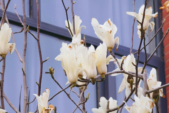 微信图片_2026-03-31_211305_211