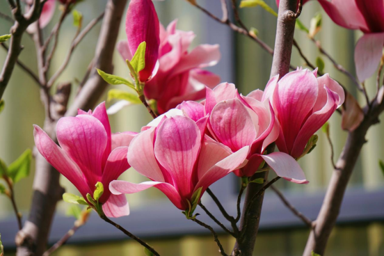 微信图片_2026-03-31_211308_796