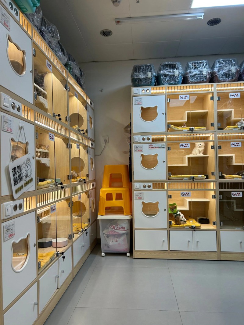 微信图片_2026-03-31_221908_295