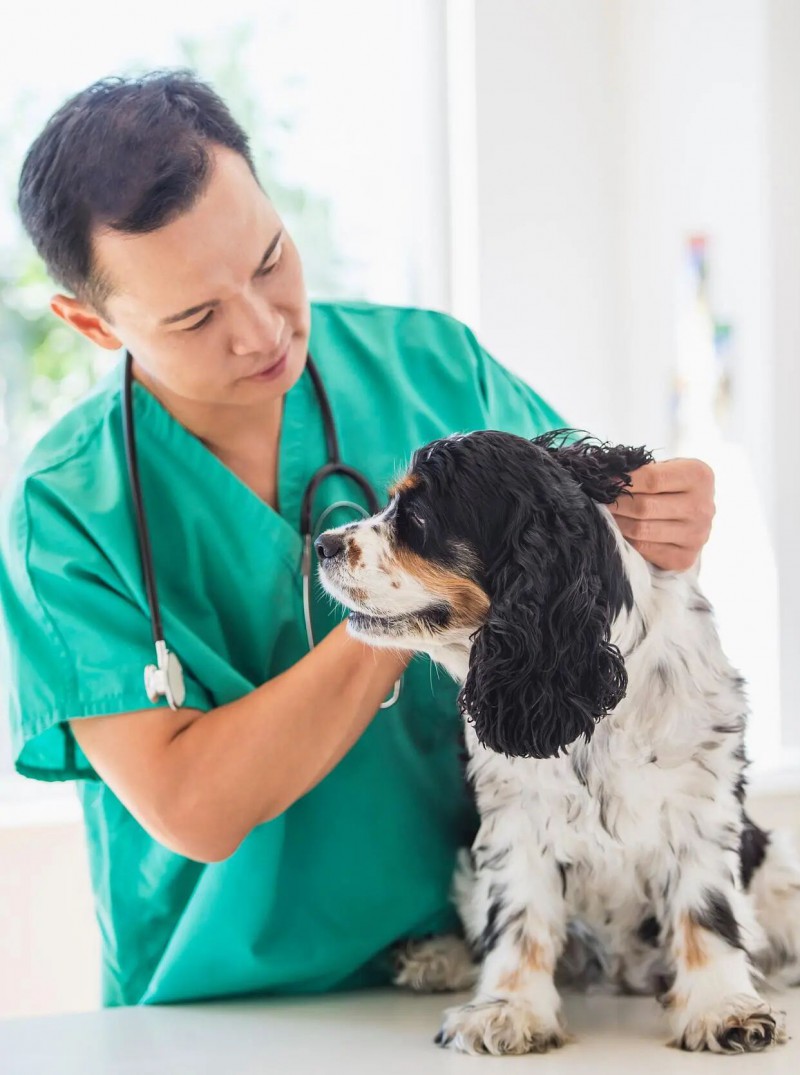 微信图片_2026-03-31_221914_710