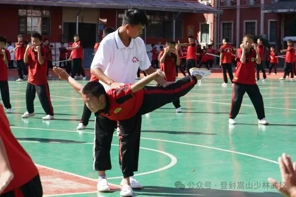 微信图片_20260427171924_176_1
