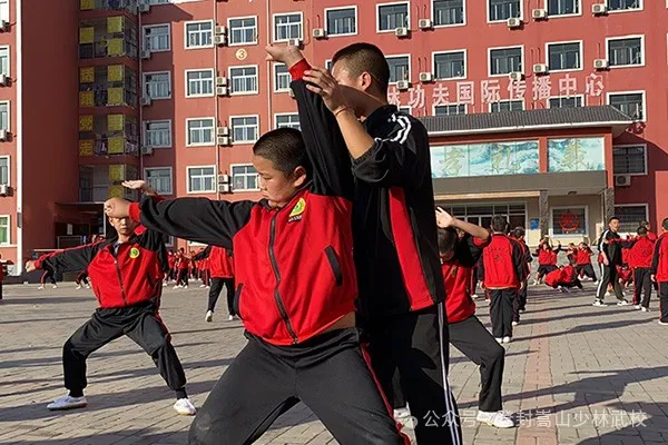 微信图片_20260427171936_177_1