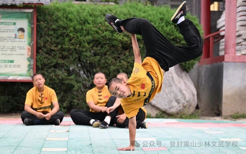 微信图片_2026-06-15_194431_914