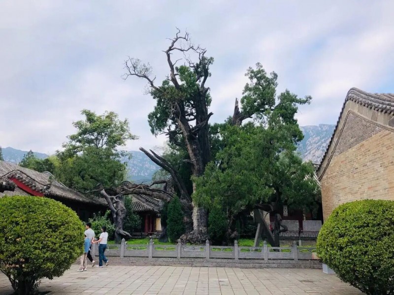 image_v3